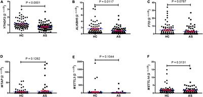 Expression and Clinical Significance of the m6A RNA-Binding Proteins YTHDF2 in Peripheral Blood Mononuclear Cells From New-Onset Ankylosing Spondylitis